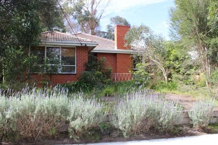 Main view of Homely house listing, 13 Paulette Court, Blackburn South VIC 3130