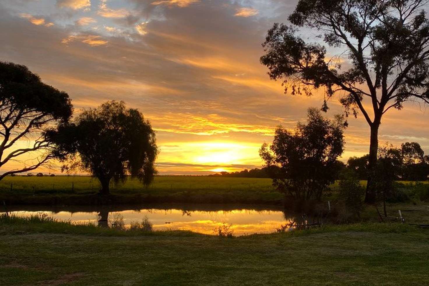 Main view of Homely house listing, 341 Mt Terrick Road, Echuca VIC 3564