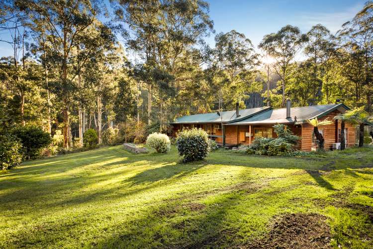 Fifth view of Homely house listing, 775 Mt Baw Baw Tourist Road, Noojee VIC 3833