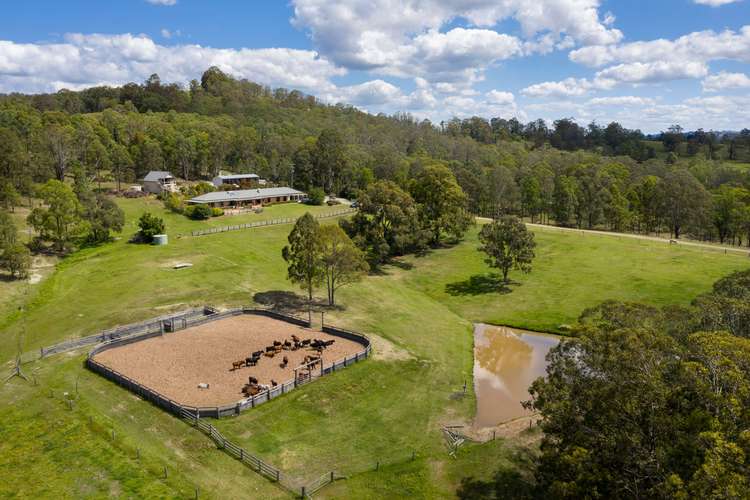 Third view of Homely ruralOther listing, 815 Glen William Road, Glen William NSW 2321