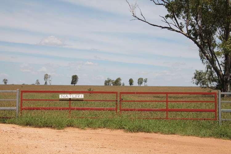 Main view of Homely ruralOther listing, 349 NATURI Road, Condamine QLD 4416