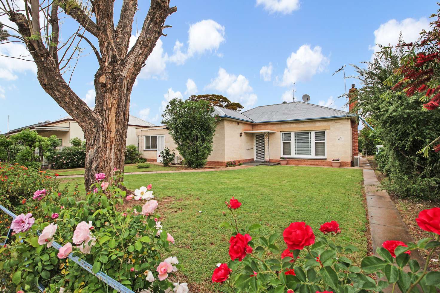 Main view of Homely house listing, 101 Ral Ral Avenue, Renmark SA 5341