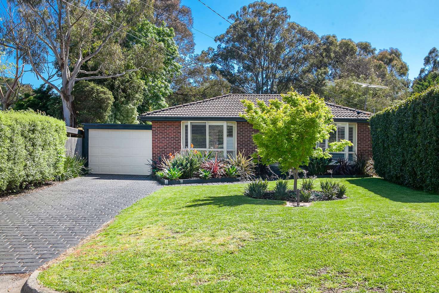 Main view of Homely house listing, 10 Catherine Court, Langwarrin VIC 3910