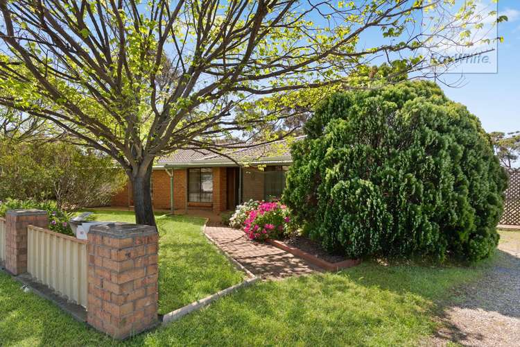 Second view of Homely house listing, 147 Commercial Road, Salisbury SA 5108