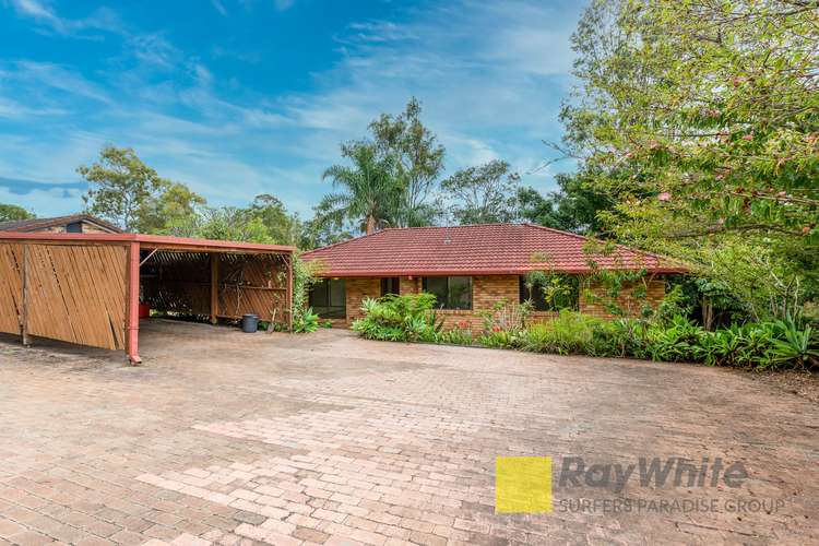 Main view of Homely house listing, 19 Tamworth Drive, Helensvale QLD 4212