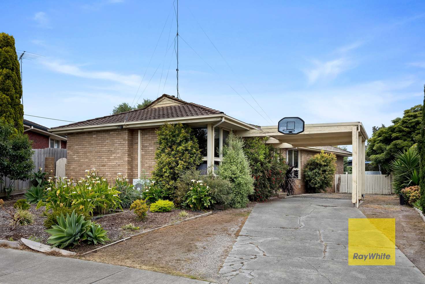 Main view of Homely house listing, 31 Cresta Street, Leopold VIC 3224