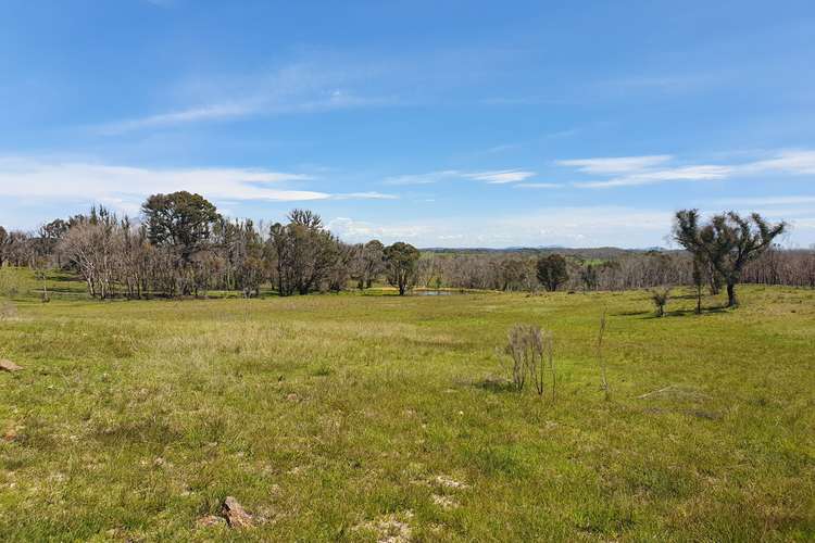 Sixth view of Homely ruralOther listing, 141 Killarney Road, Charleys Forest, Braidwood NSW 2622