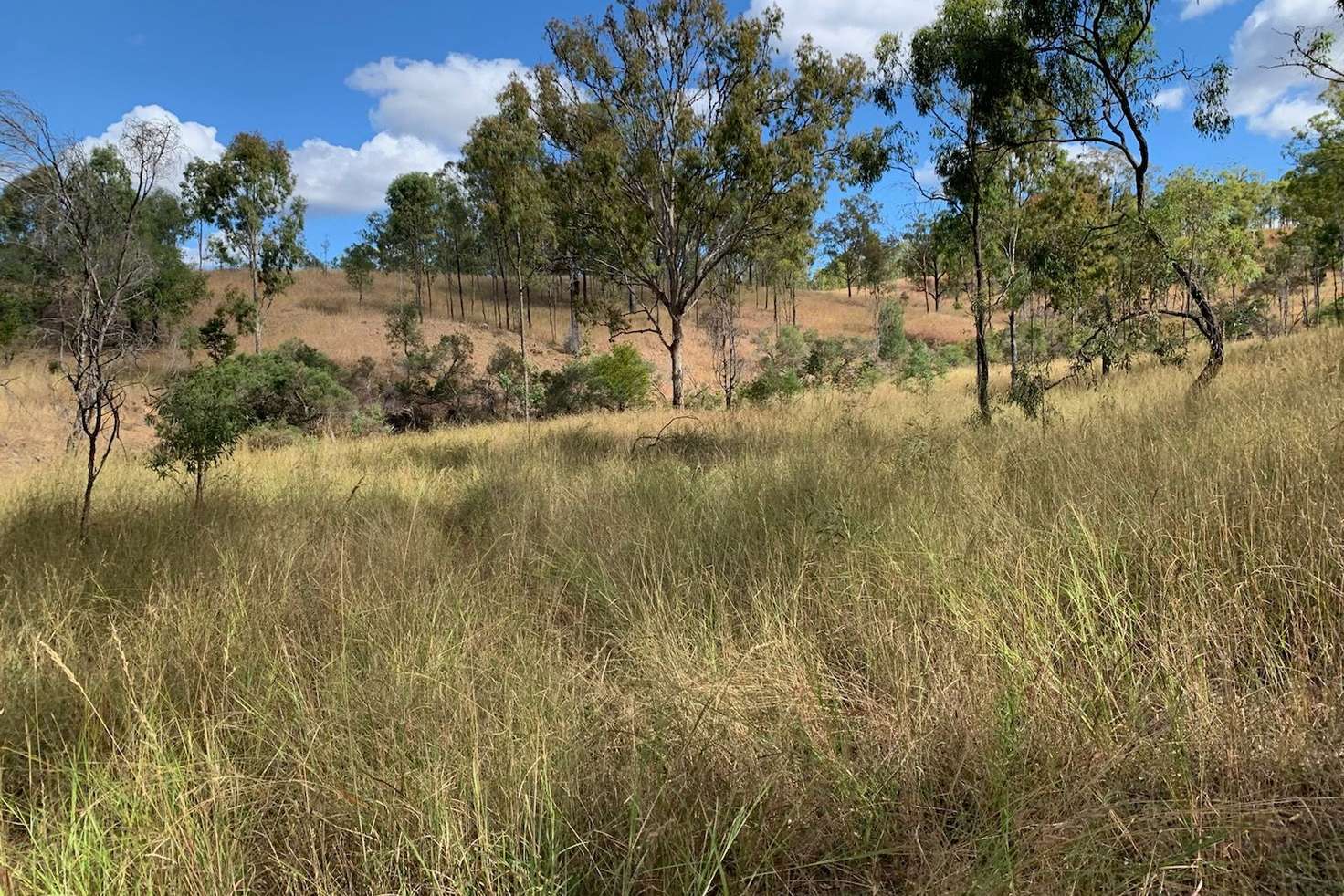 Main view of Homely ruralOther listing, Lot 6 Apels Road, Toondahra, Gayndah QLD 4625