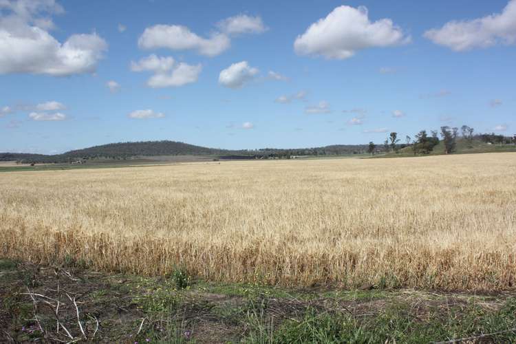 Second view of Homely ruralOther listing, 0 Richardson Road, Southbrook QLD 4363