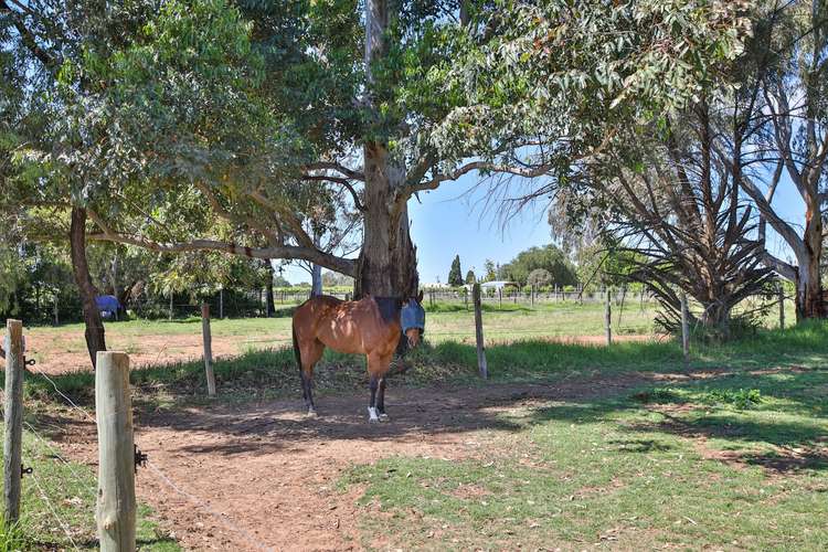 Seventh view of Homely residentialLand listing, 57 Ginquam Avenue, Nichols Point VIC 3501