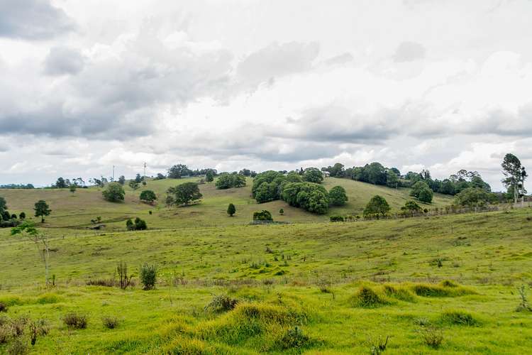 Second view of Homely house listing, 1290 Mount Mee Road, Mount Mee QLD 4521