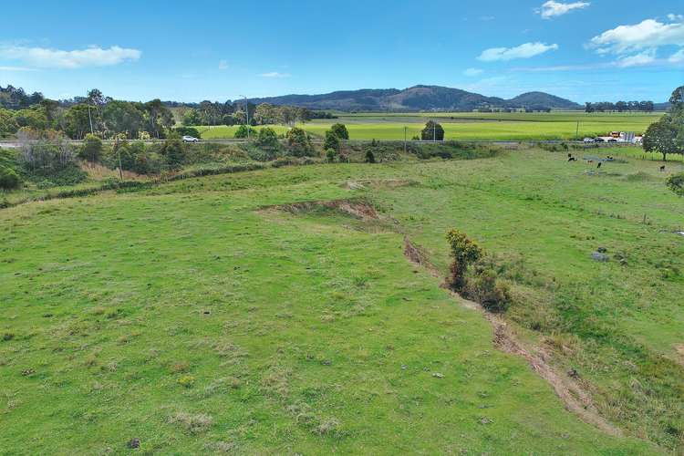 Fourth view of Homely ruralOther listing, 998 Cudgera Creek Road, Cudgera Creek NSW 2484