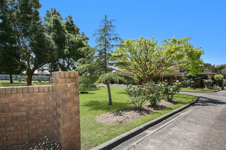 Third view of Homely house listing, 3 Lovett Street, Camperdown VIC 3260