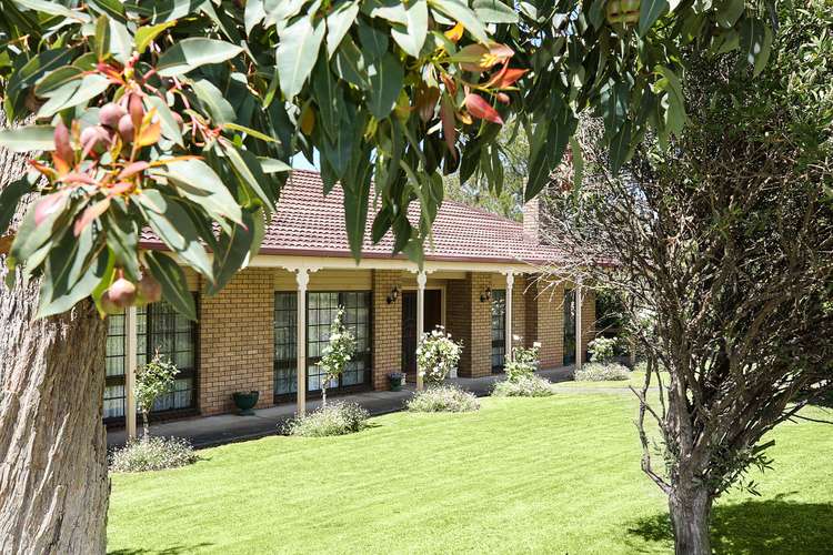Fifth view of Homely house listing, 3 Lovett Street, Camperdown VIC 3260