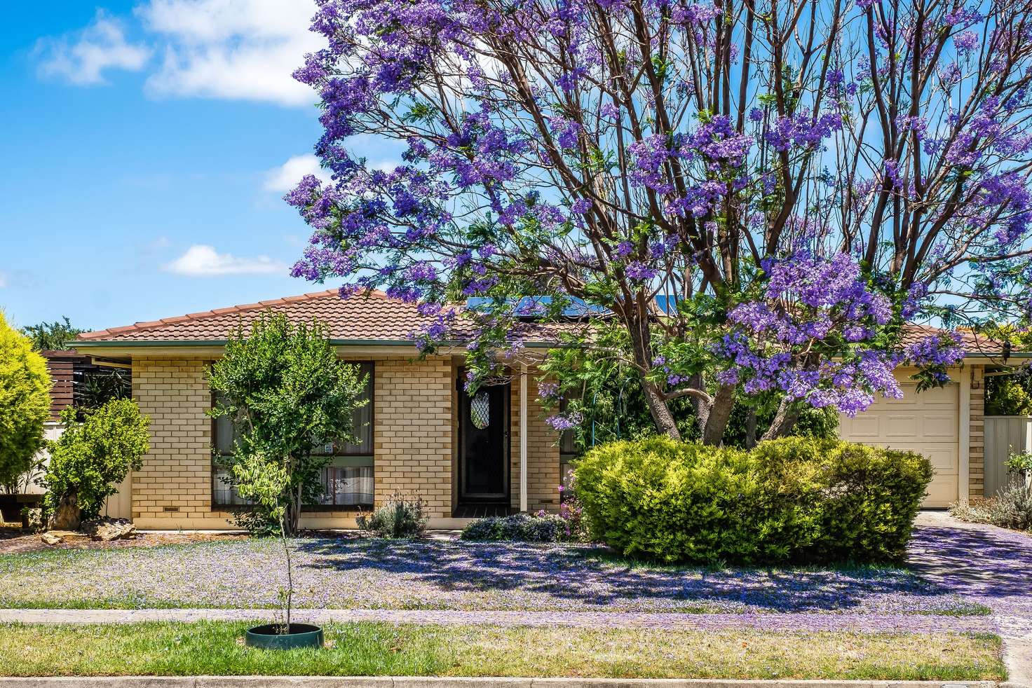 Main view of Homely house listing, 62 Helmsdale Avenue, Glengowrie SA 5044