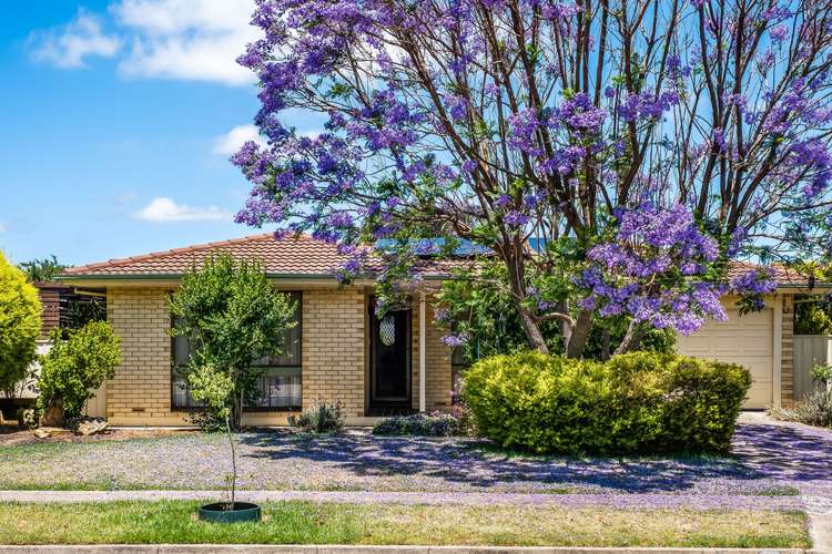 Main view of Homely house listing, 62 Helmsdale Avenue, Glengowrie SA 5044