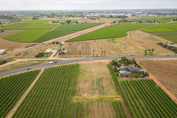 Fifth view of Homely residentialLand listing, Lot 1/9260 Calder Highway, Irymple VIC 3498