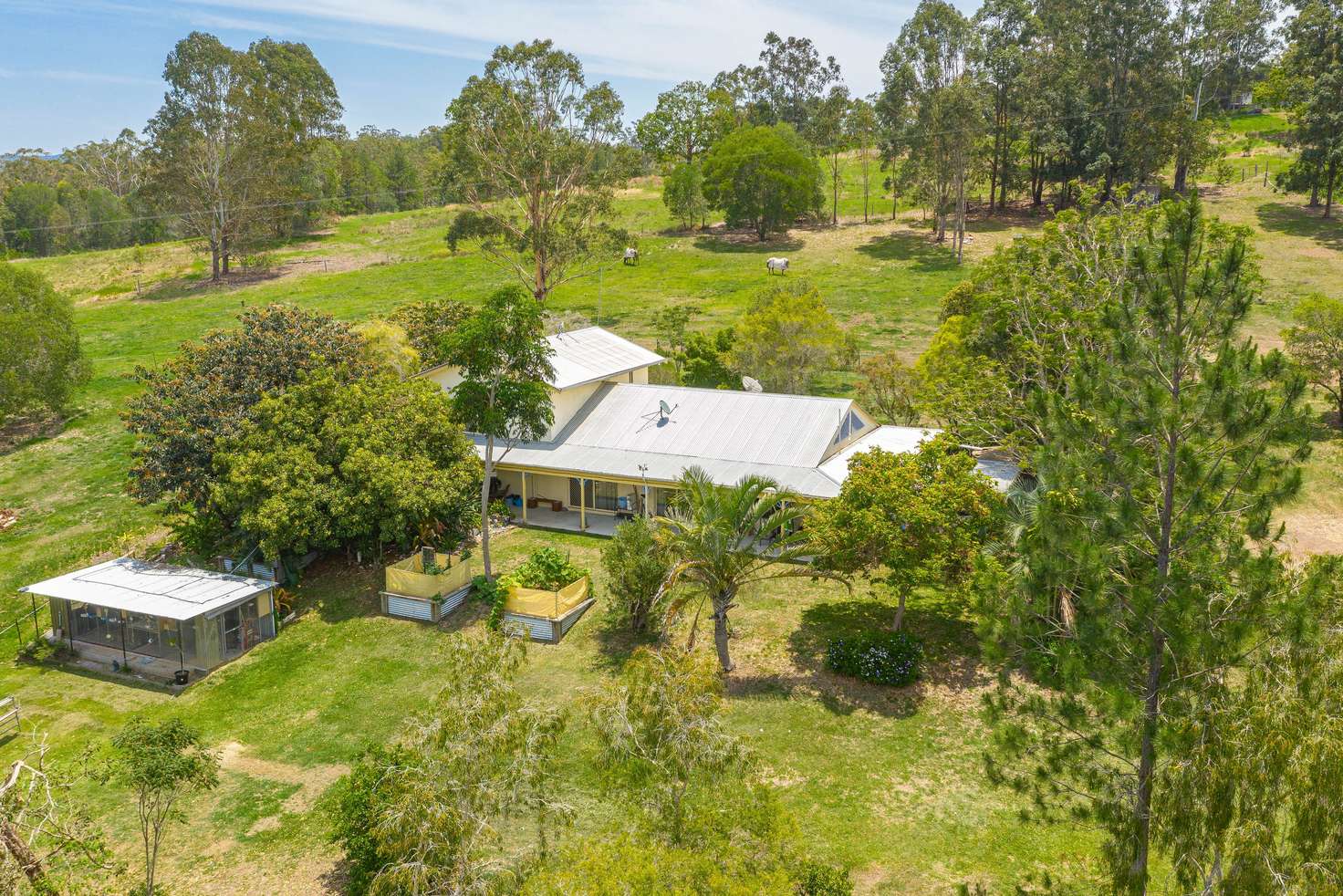 Main view of Homely house listing, 41 Knobby Glen Road, Kandanga QLD 4570