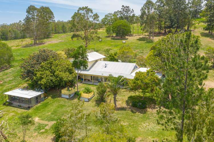 Main view of Homely house listing, 41 Knobby Glen Road, Kandanga QLD 4570