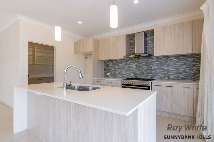 Main view of Homely house listing, 19 Dunedin Street, Sunnybank QLD 4109