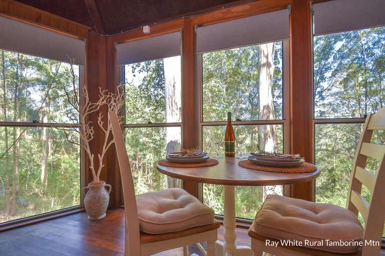 Second view of Homely house listing, 7 Orchis Drive, Tamborine Mountain QLD 4272