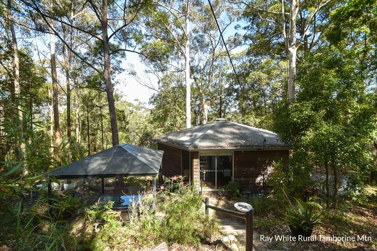 Fourth view of Homely house listing, 7 Orchis Drive, Tamborine Mountain QLD 4272