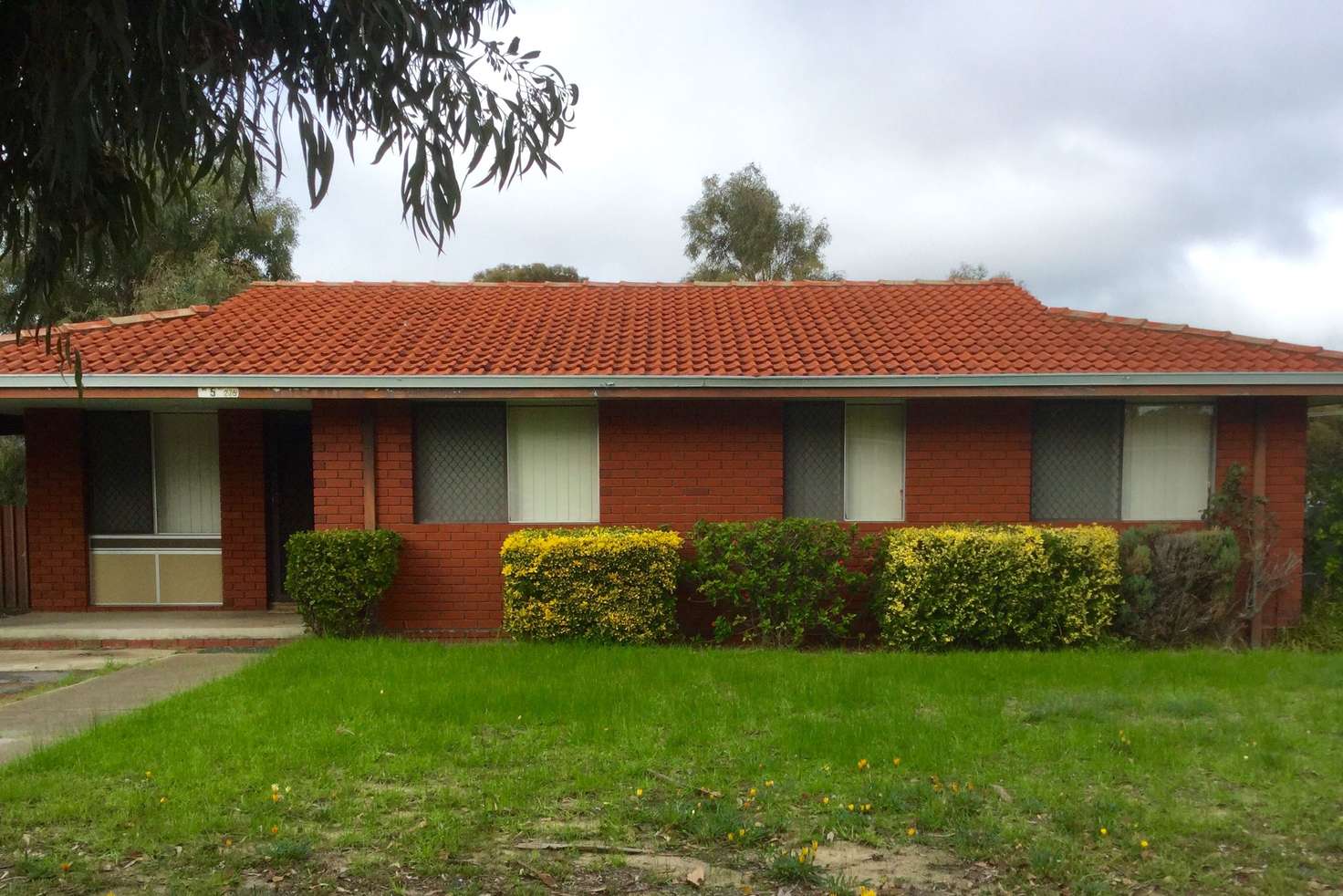 Main view of Homely house listing, 5 Hakea Place, Katanning WA 6317