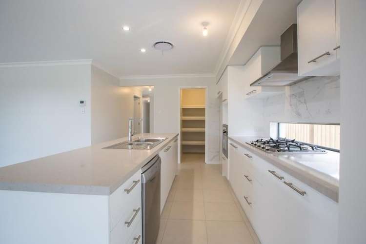 Third view of Homely house listing, 85 Lindeman Circuit, Pimpama QLD 4209