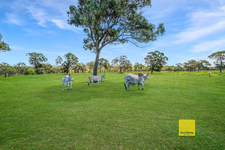 Sixth view of Homely residentialLand listing, 2361 Round Hill Road, Round Hill QLD 4677