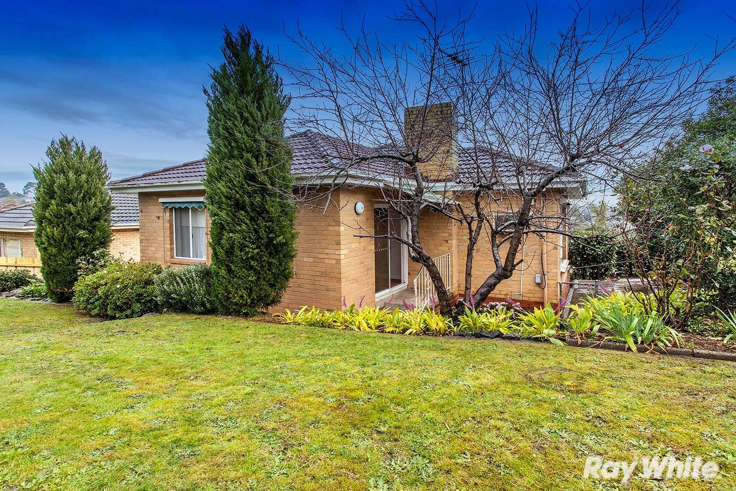 Main view of Homely house listing, 29 Hodgson Street, Templestowe Lower VIC 3107