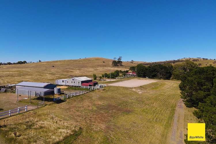 Third view of Homely acreageSemiRural listing, 41 Taylors Creek Road, Tarago NSW 2580