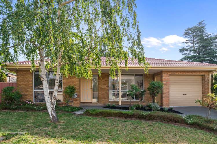 Main view of Homely house listing, 4 Briarwood Court, Croydon VIC 3136