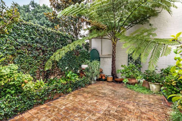 Sixth view of Homely house listing, 47 Liverpool Street, Paddington NSW 2021