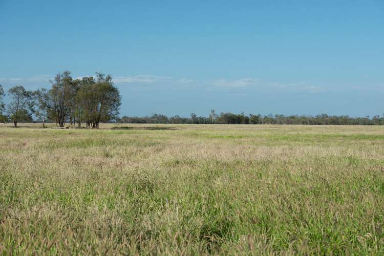 Sixth view of Homely ruralOther listing, 1292 Woodburn Road, Roma QLD 4455