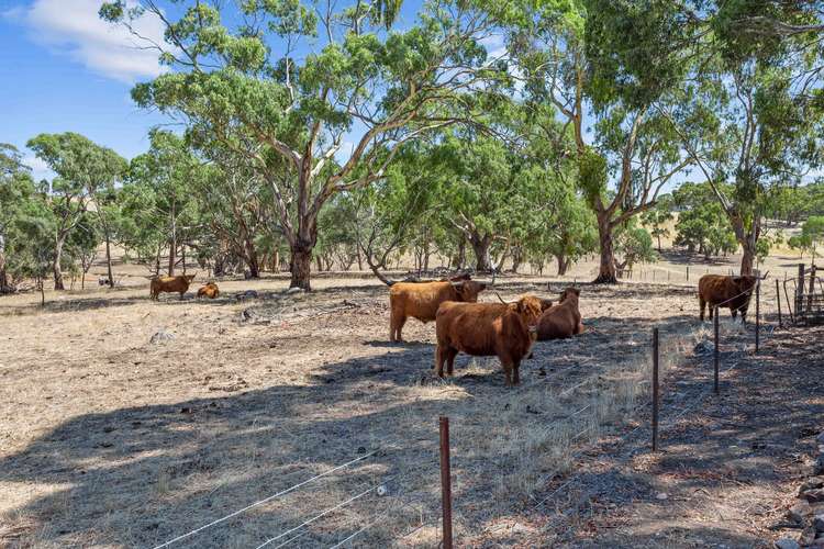 Fifth view of Homely house listing, 86 Hubbe Road, Clare SA 5453