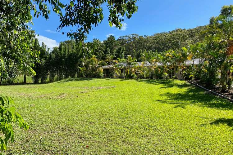 Second view of Homely house listing, 556 Tallebudgera Creek Road, Tallebudgera Valley QLD 4228