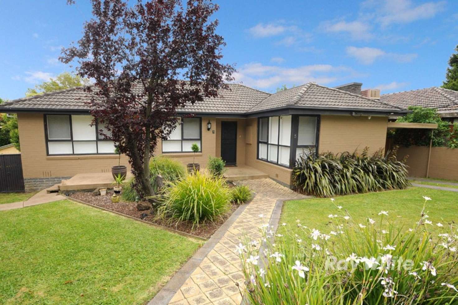 Main view of Homely house listing, 5 Mayfield Drive, Mount Waverley VIC 3149