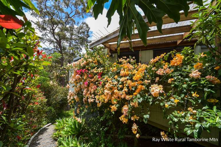 Fifth view of Homely studio listing, Unit 1, 8 Katmai Court, Tamborine Mountain QLD 4272