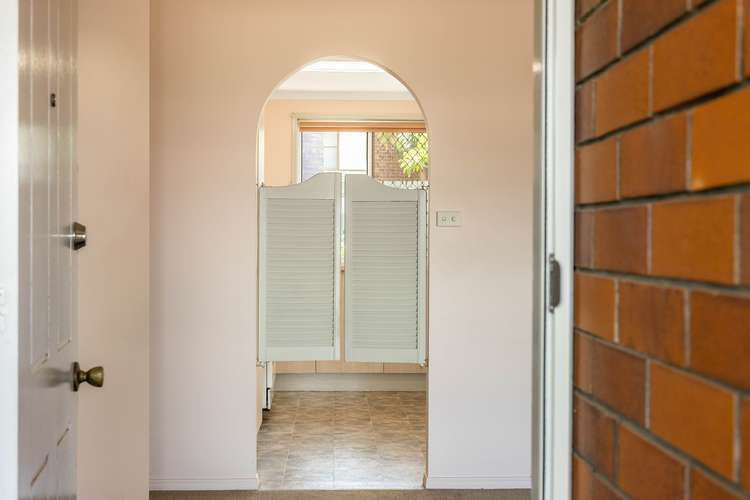 Third view of Homely house listing, 4 Walnut Court, Newtown QLD 4350
