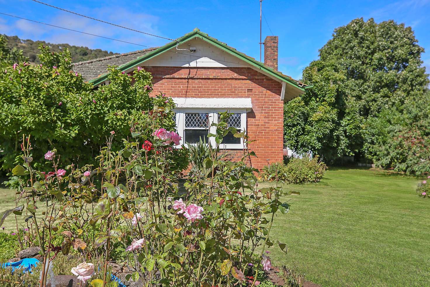 Main view of Homely house listing, 15 Manifold Street, Camperdown VIC 3260