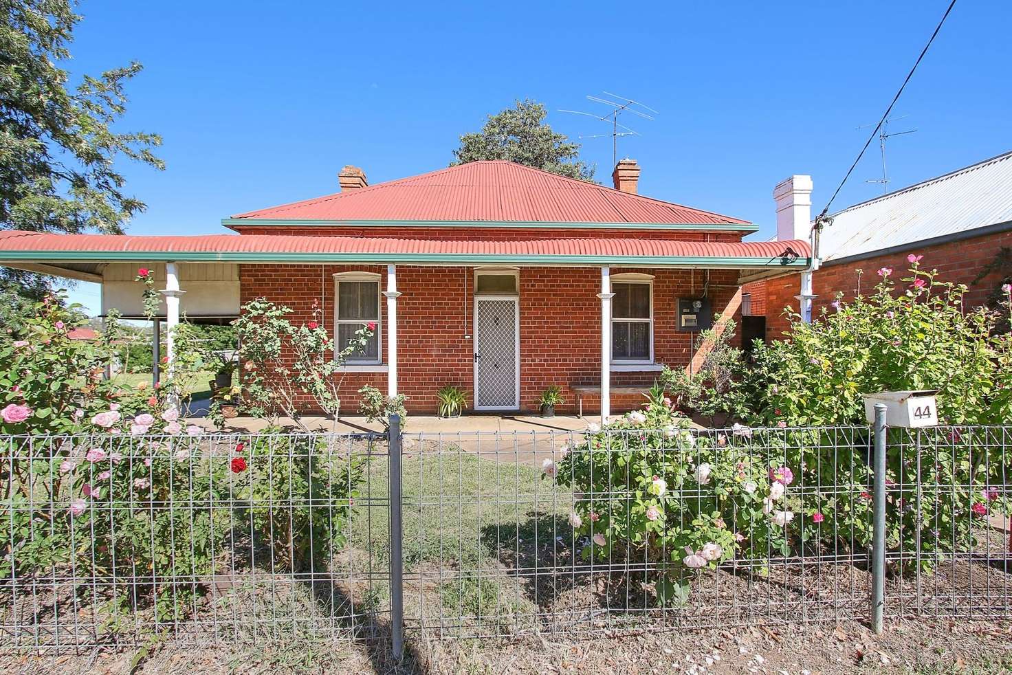 Main view of Homely house listing, 44 Allan Street, Henty NSW 2658