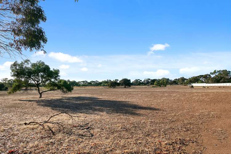 Main view of Homely residentialLand listing, 3 Lange Road, Gawler Belt SA 5118