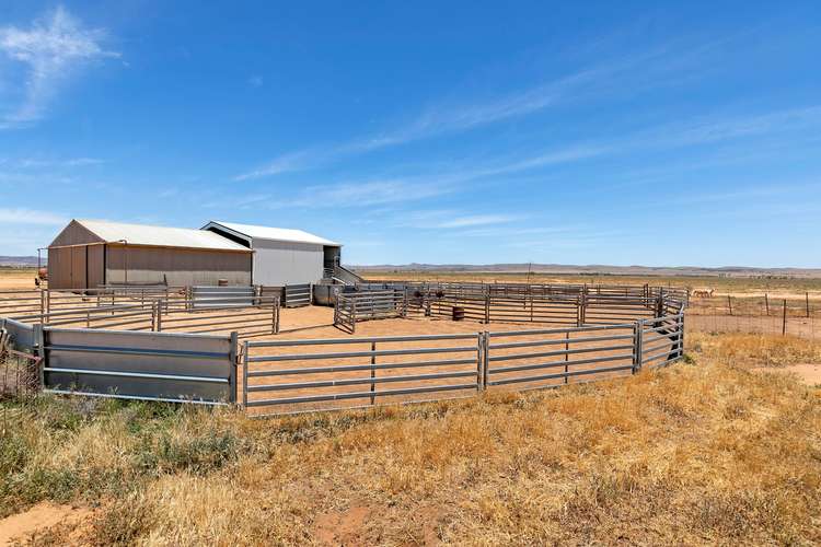 Fifth view of Homely ruralOther listing, Lot 2 Rankine and Johnburg Road, Orroroo SA 5431