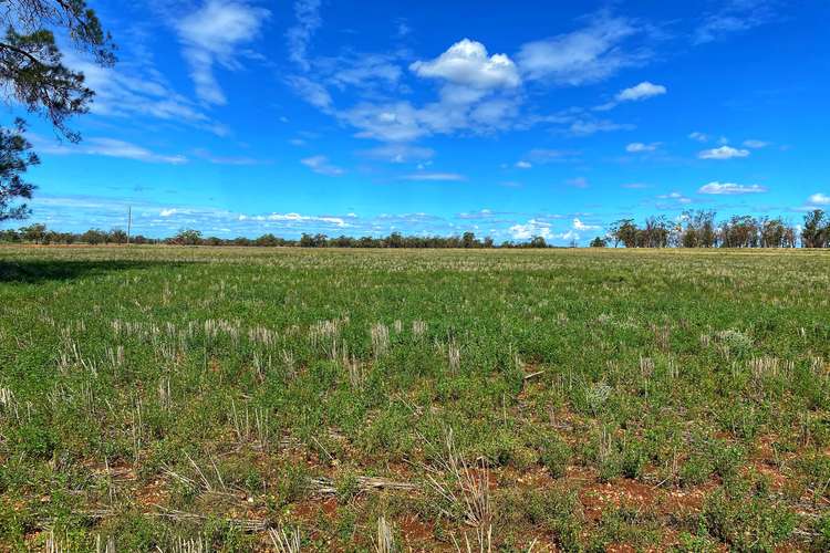 Fourth view of Homely ruralOther listing, * Croydon, Avondale & Part Springfield, Tottenham NSW 2873