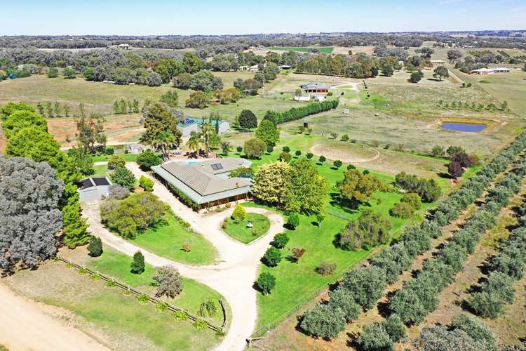 Main view of Homely house listing, 130 Saines Road, Young NSW 2594