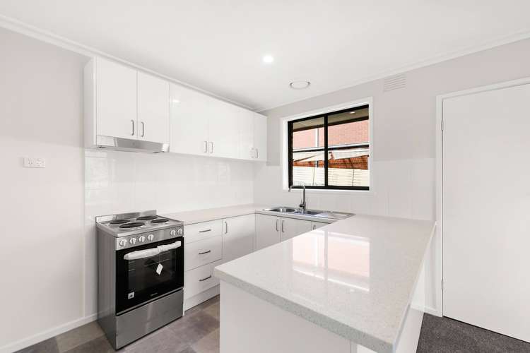 Third view of Homely unit listing, 1/19 Cabena Crescent, Chadstone VIC 3148