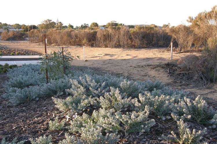 Main view of Homely residentialLand listing, 9 Lot 27 Phelps Loop, Kalbarri WA 6536