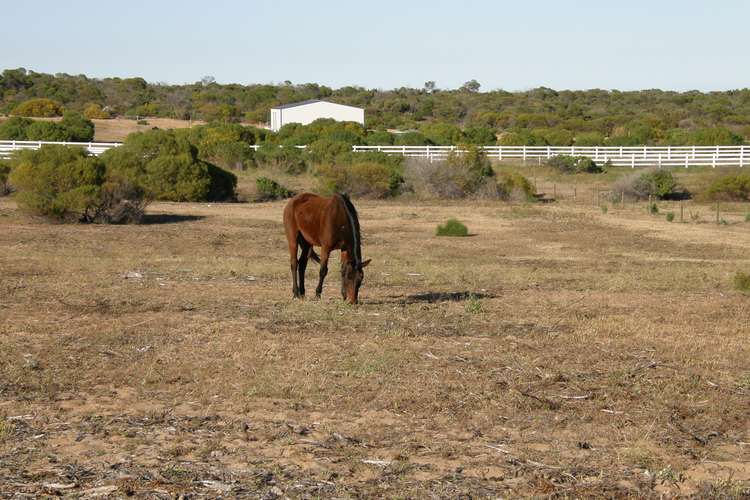 Fourth view of Homely residentialLand listing, 6 Lot 12 Ranch Court, Kalbarri WA 6536