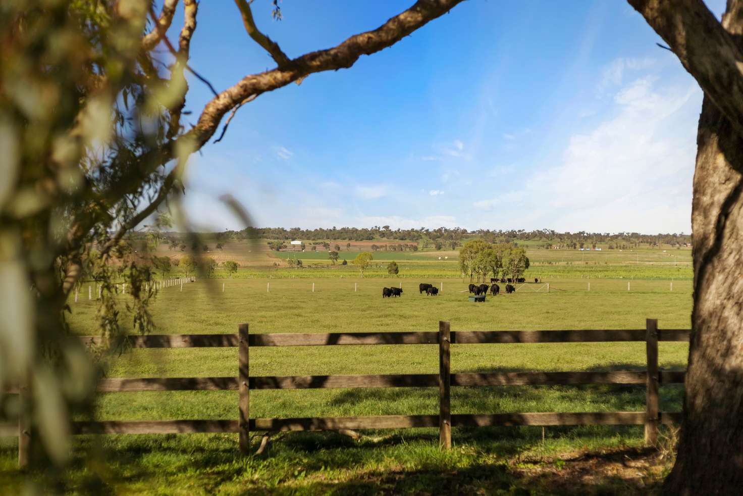Main view of Homely ruralOther listing, 360 4AK Road, Kingsthorpe QLD 4400