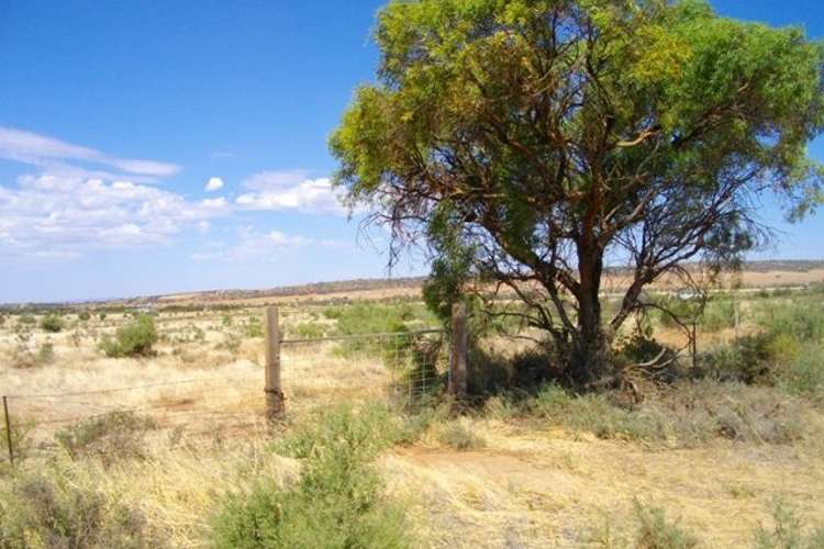 Section 122 McConville Road, Quorn SA 5433